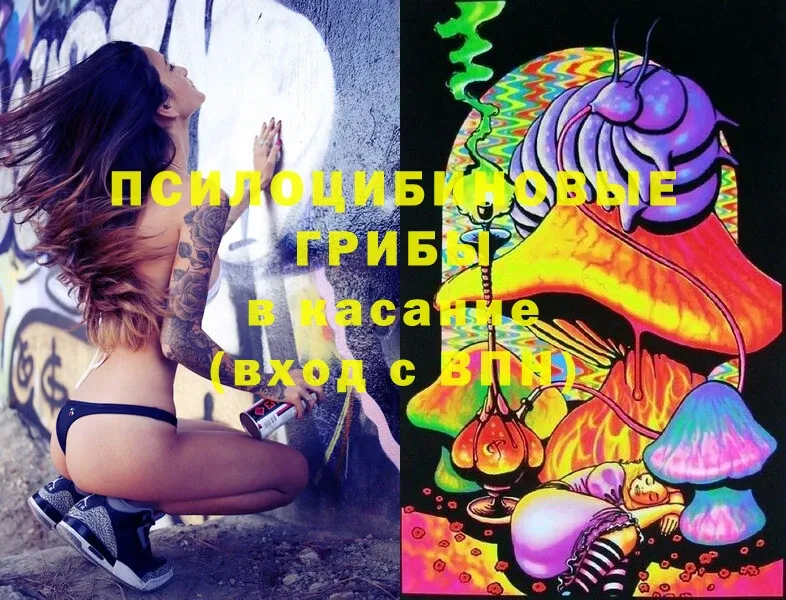 Псилоцибиновые грибы Magic Shrooms  Собинка 